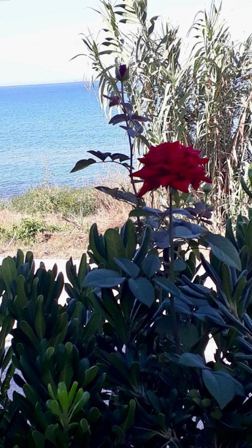 Covo Dei Marinai Vila Cava dʼAliga Exterior foto